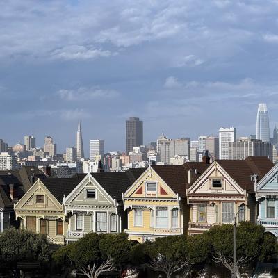 Painted Ladies